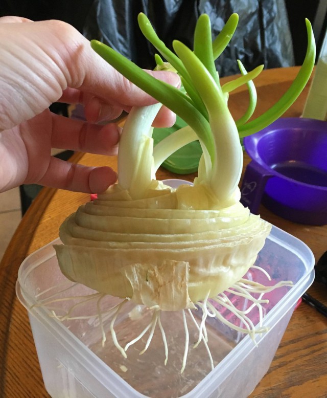 Подборка интересных и веселых картинок