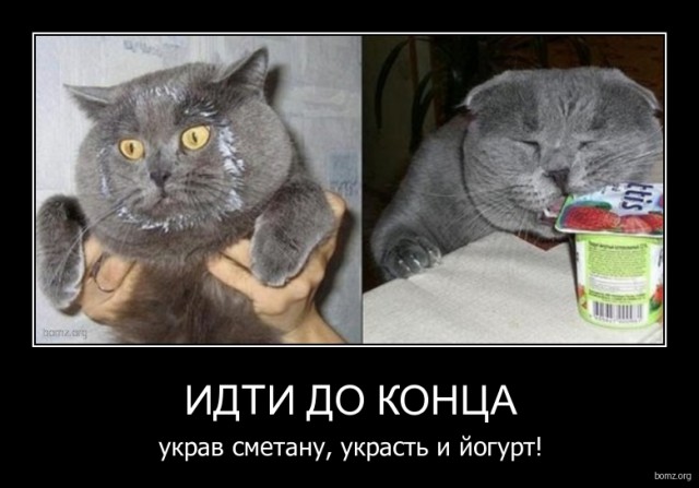 Подборка интересных и веселых картинок