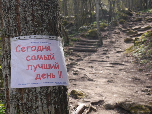 Мой поход