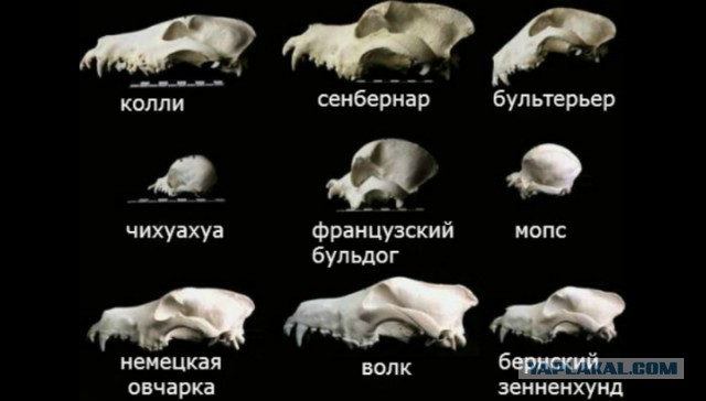 Кто и когда строил древние города?