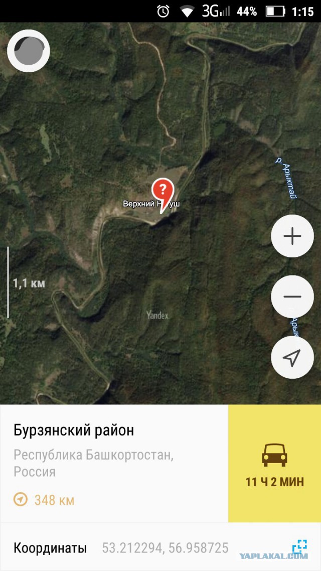 В Башкирии детям выдали топоры для борьбы с медведями по дороге в школу