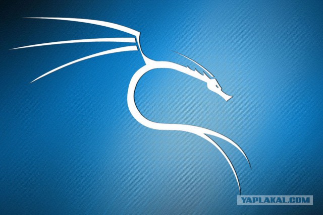 Установил linux... и понеслось