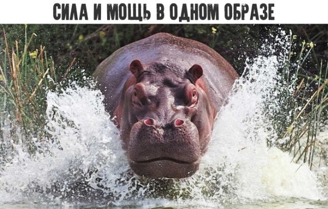 25 «везунчиков», у которых 2018 год не задался с самого начала