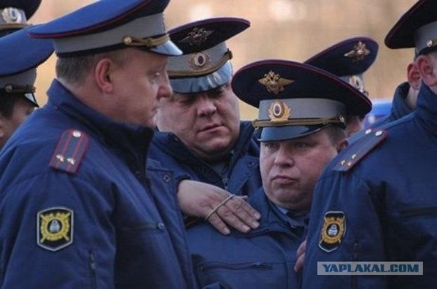 Берегись сини-белого автомобиля