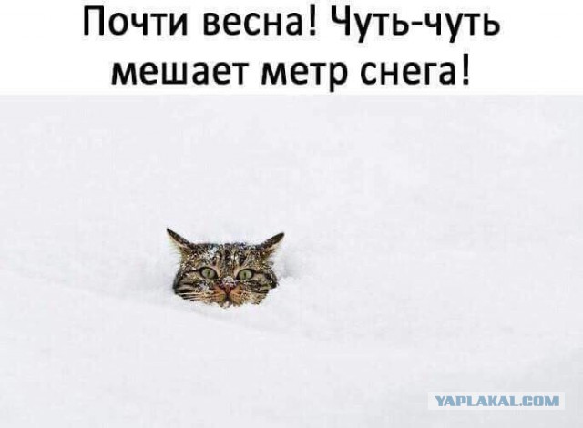 Вот и пришла весна!
