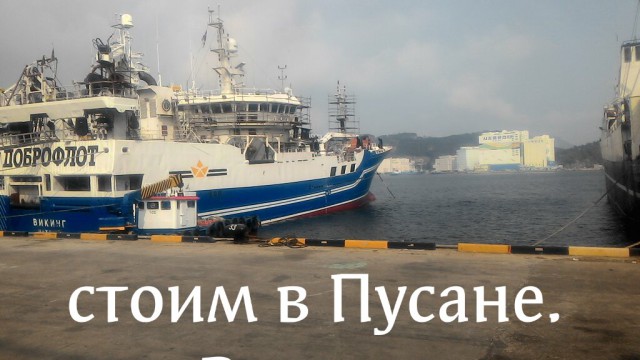 Обычные вещи в Южной Корее, которые вызывают удивление в остальном мире