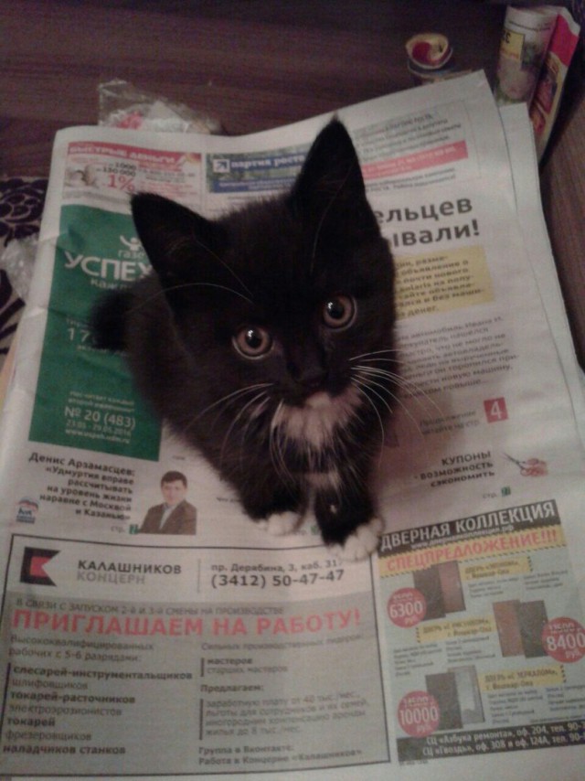 Немного милоты
