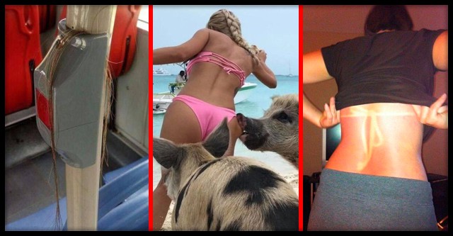 Всякие курьёзы