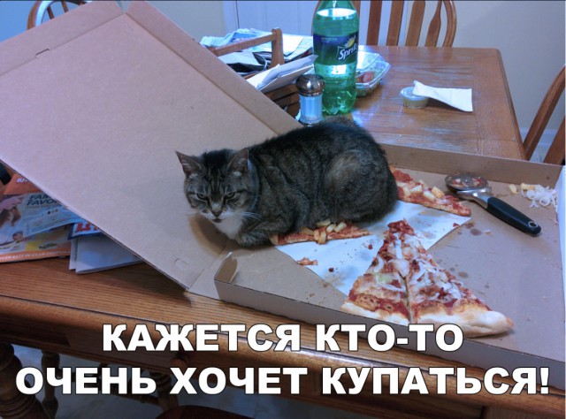 Нестандартный юмор