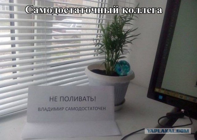 Так, граждане тунеядцы! Картинки, значит, смотрим