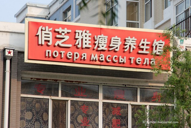 Стишепикчи