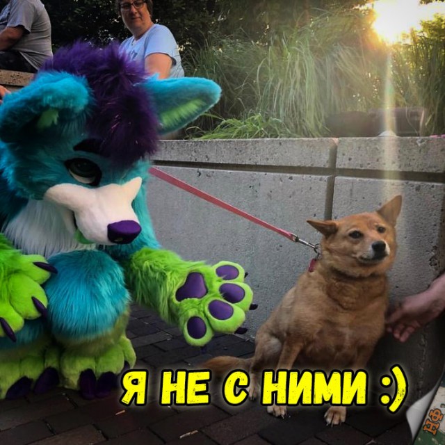 Прикольные картинки абавсём