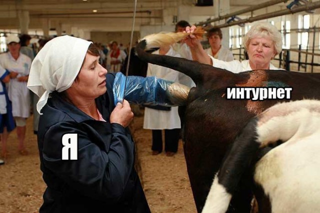 Чуток картинок 15.06.19