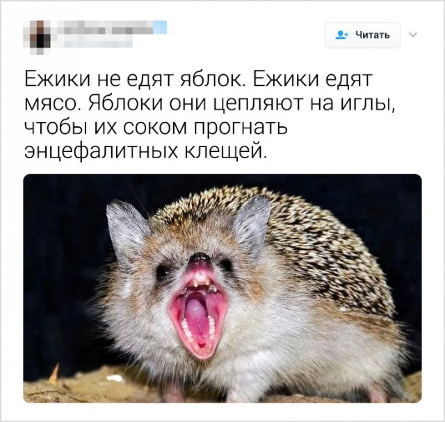 Немного картинок для настроения 16.05.20