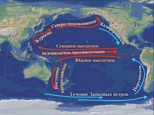 Такой прогноз погоды я одобряю