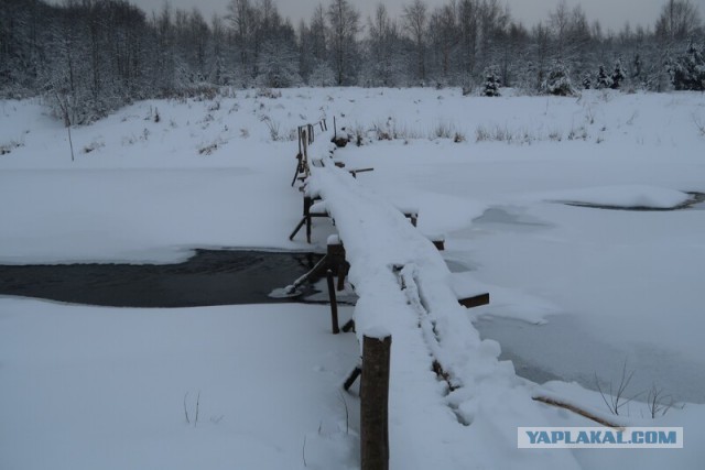 Заброшенные деревни Ярославской области. Как вымирает село без моста