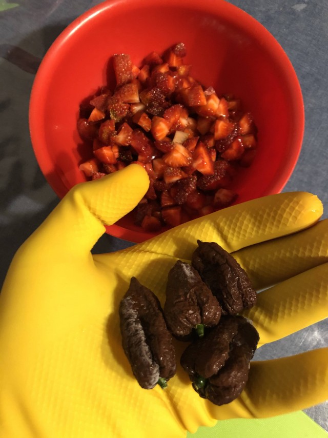 Варенье из перца. Личный опыт.