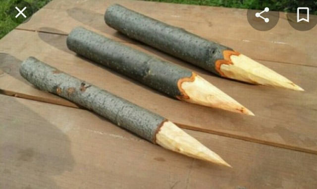 Путин уходит на самоизоляцию