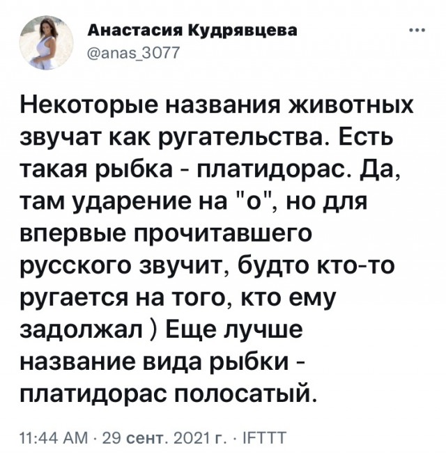 Картинки и мемы для настроения 30.09.2021