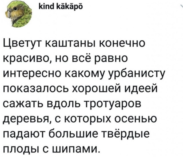 Юмор и прикольные картинки 11.10.2021