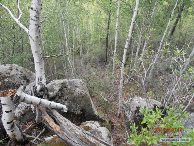 Природа Забайкалья