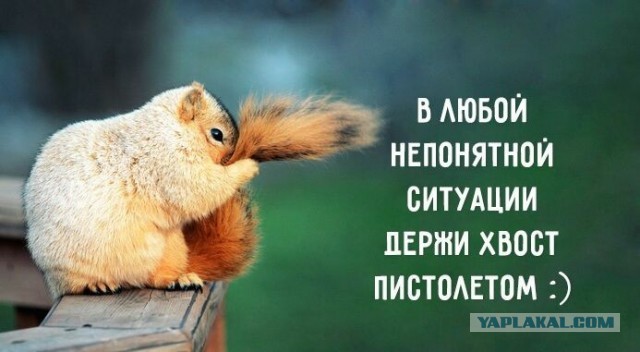 Немного пятничных и где то смешных картинок