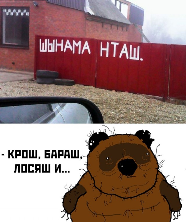 Картинки и мемы для настроения - 19