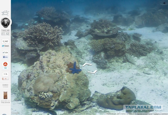 Потайная дверца...