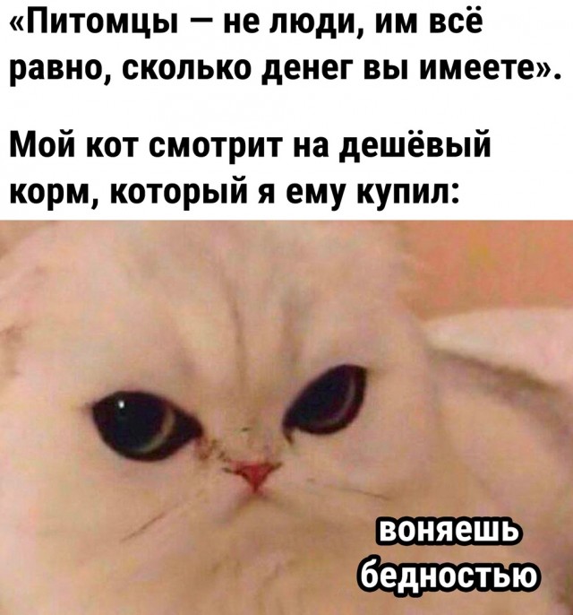 Так себе картинки 19.10.22