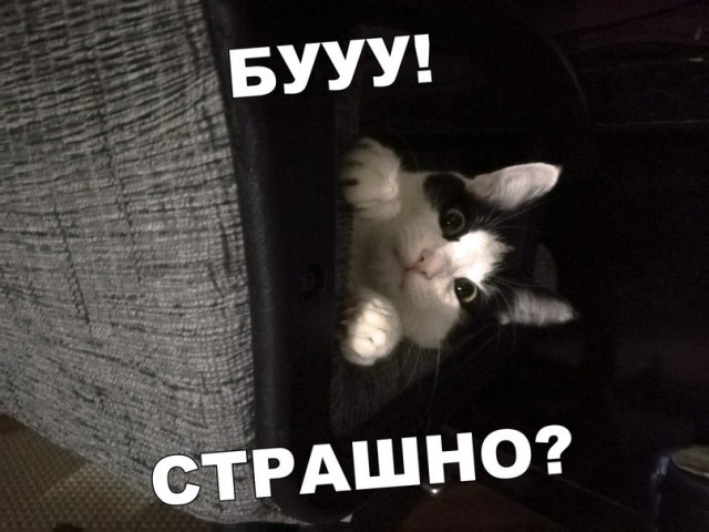 Надоели эти рожи!