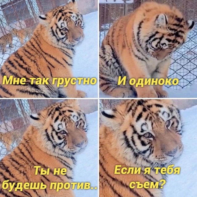 Немного картинок для настроения - 135