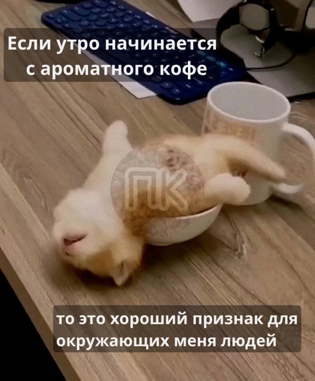Победная поступь идиотизма по планете – том 8