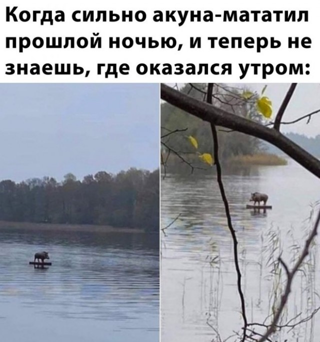 Немного картинок для настроения - 155