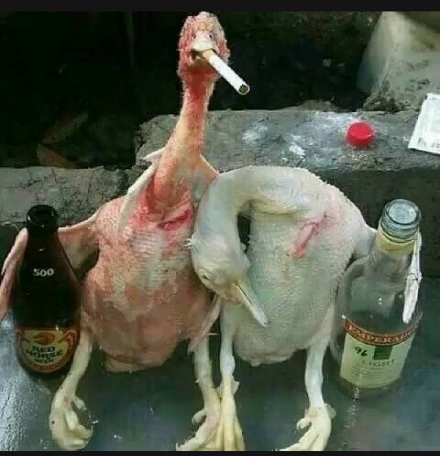 Дичь