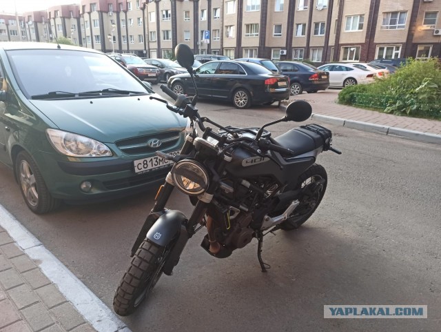 Хозяин, поехали кататься