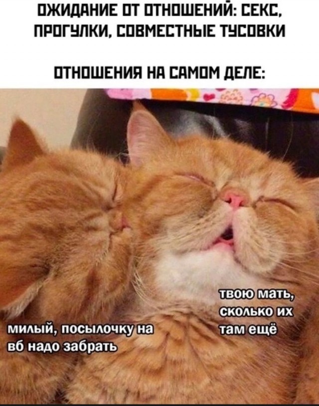Секс без обязательств. Без чьих?