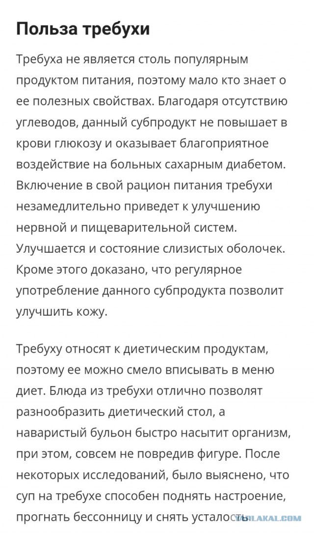 Год назад. Доклад ООН про изменение климата: худшее впереди