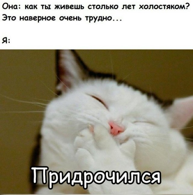 С днем холостяка
