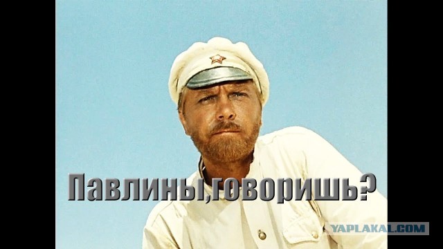 Без врага жизнь скучна, а с врагом - интересна