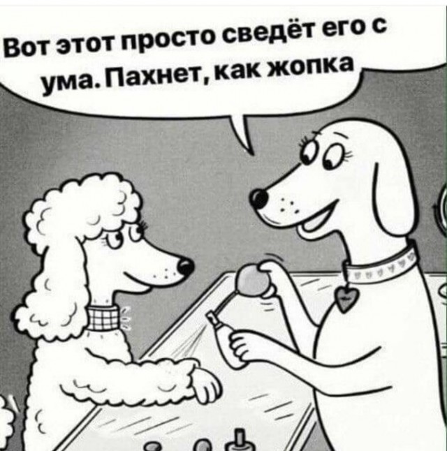 Баяны и не совсем. Понедельничное