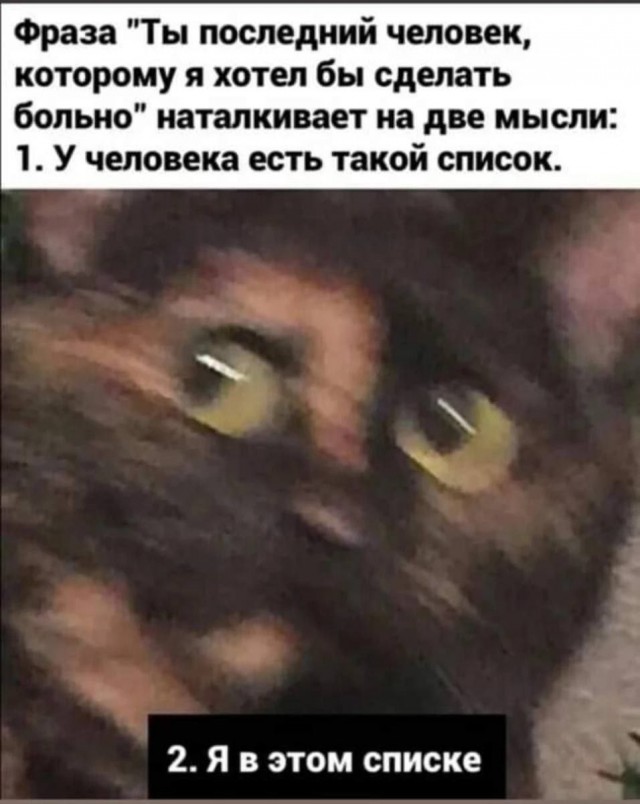 Всего понемногу. От 30.11.23