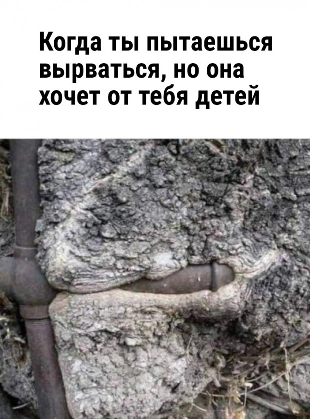 Пятничное