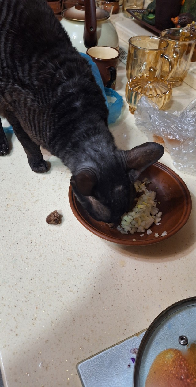 Яп спасай, синий борщ...