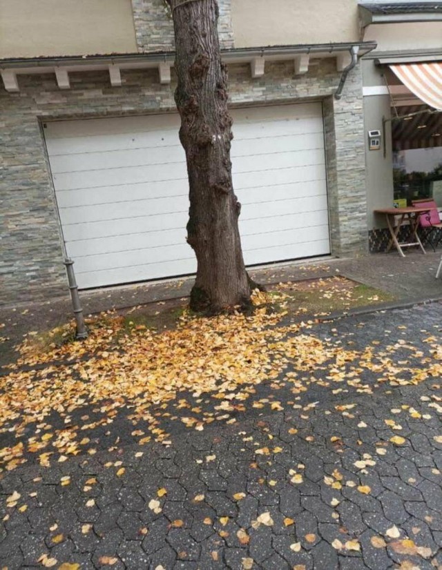 ФотоВинегрет из 60 пикч
