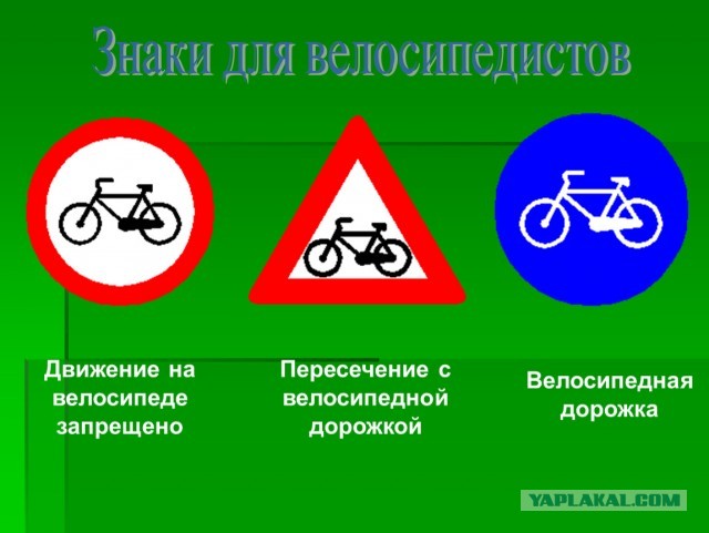 Самокатчики только появились, а уже никаких нервов на них не напасешься
