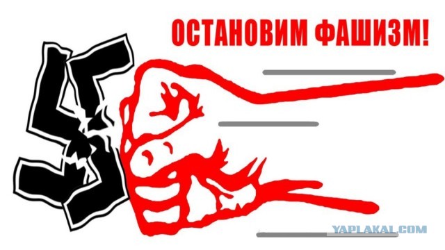 Прислали из Германии фото