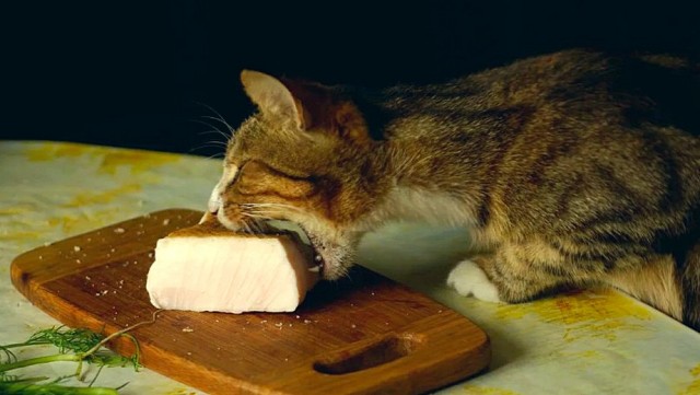 Воскресная подборка анекдотов (с матом и картинками)