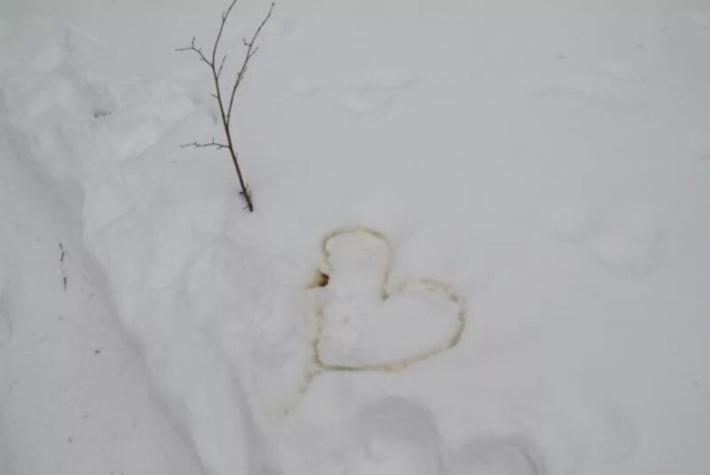 Память⁠⁠