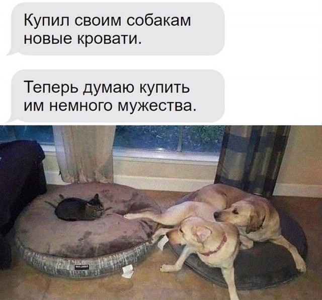 Завалялось тут случайно немного забавных картинок