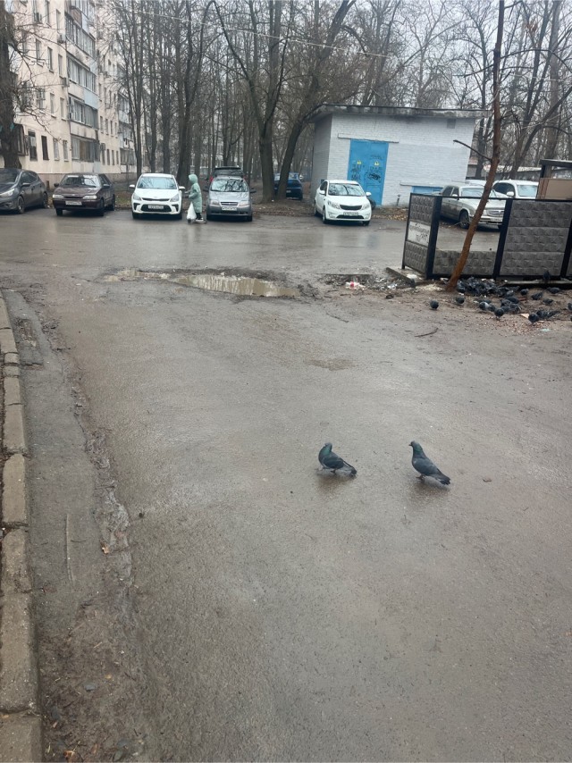 Покажите вашу зиму
